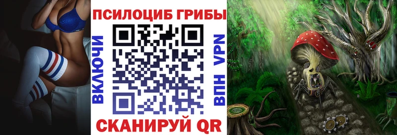 Псилоцибиновые грибы Psilocybine cubensis  Шумиха 