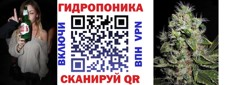 Марихуана гибрид  Шумиха 